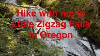 Hike with me to Little Zigzag Falls in the Mount Hood National Forest