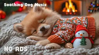 12 HOURS Dog Sleep Music 🐶🎅 Reduce Anxiety & Barking | Relaxing Sounds for Pet Therapy 🐕 No Ads