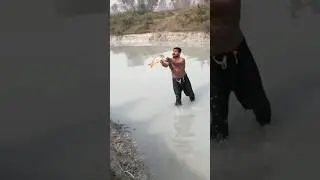 wow village catching cute yellowish tail china fish !!! #shorts #2024