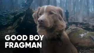 Good Boy Fragman | Biletinial