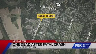 Woman killed in car crash on Tesson Ferry Road: Police
