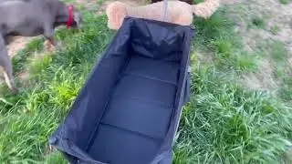 Collapsible Folding Wagon, 440lbs Wagon Cart Beach Cart Heavy Duty Foldable, Outdoor Utility with