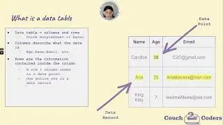 2.1 Data Table - What is a Data Type