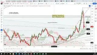 Kedia: Cocudakl  Outlook