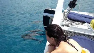 Ko Olina Ocean Adventures - Hawaiian Spinner Dolphins