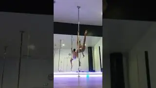 Pole Scratch (Zek Cover)