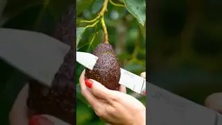 Cutting Fruit on the tree 🌳 asmr sounds so #satisfying #relax #fruit #ai #shorst
