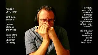 Brendan Power - UKRAINIAN FOLK TUNE - Experimental Harmonica