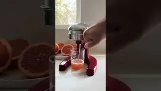 The compact &lsquo;Positano&rsquo; Citrus Press