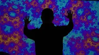 From neurons to galaxies, what are 'Fractals in Nature?'