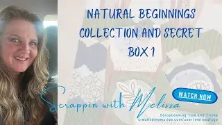 NATURAL BEGINNINGS BOX OPENING PLUS SECRET BOX 1