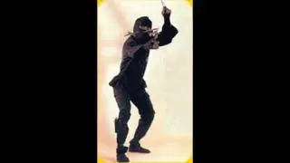 Various ninjutsu demonstration from ronald duncan students ( koga ryu ninjutsu)