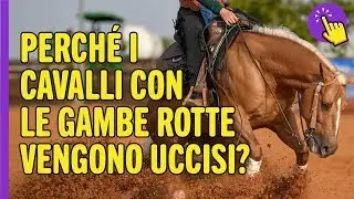 Perché i cavalli con le gambe rotte vengono uccisi? | Informazione interessante | Tienilo a mente!