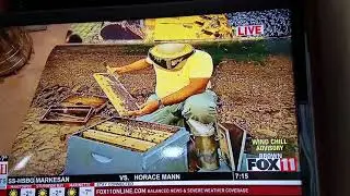 Beekeeping_Ken Sikora on Channel 11
