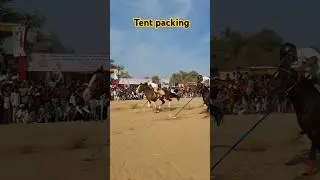 टेंट पैकिंग घोड़े का दिल धड़क गेम्स |tent packing horse games #shorts #horses