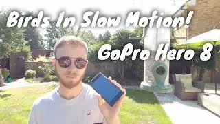 GoPro Hero 8 Slow Motion || 4k 60fps, HD 240fps & 120fps || Flying Birds