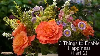 ADHD and Anxiety Tips: Pleasure versus Happiness Part 2