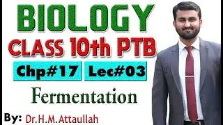 Fermentation  | Chapter # 17 | Biology Class 10th | Lec.# 3