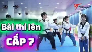 Thi lên đai vàng |Lên cấp 7| năm 2026