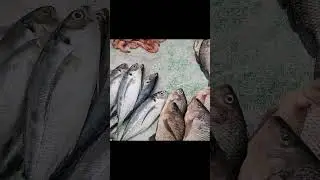 VERAVAL FISH  MARKET | INDIAN  FISHERIES