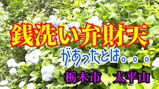【栃木県　大平山神社】銭洗い弁財天/パワースポット/玉子焼き/手打ち蕎麦/団子/日帰り旅/Vlog/Japan