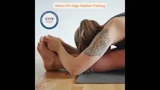 Certified Yin Yoga Teacher Training