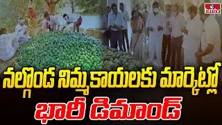 నల్గొండ నిమ్మకాయలకు మార్కెట్లో భారీ డిమాండ్ | Huge Demand for Nalgonda Lemons | hmtv