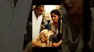 #loyal Dog 🐶#Dog lovers #wafadari#petlife#shorts India#dog bond#women best friend