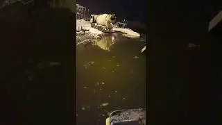 Неожиданный прилив