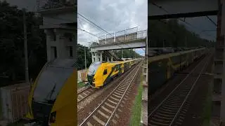 &Scaron;koda 16Ev train departs from Daugmale station 🇱🇻