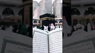 Beautiful Qur&rsquo;an Recitation | Calm Your Heart 🤍