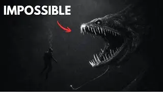 El Pez Drag&oacute;n Negro no deber&iacute;a existir (Fosa de las Marianas)