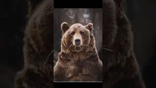 Now vs Million Year back #shorts #short #discovery #animals #youtubeshorts