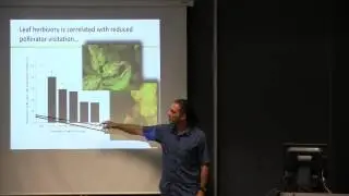 Plant secondary metabolite diversity and inducibility: Two means to the same end?