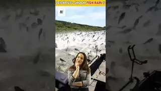 ❓😨&ldquo;99% लोग नहीं जानते दुनिया का सबसे अजीब मौसम | Fish Rain #facts #naturefacts #amazingfacts #fact