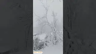 Kashmir Snowfall live/Kashmir weather today
