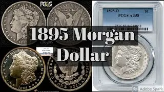 Extremely Rare 1895 Morgan Dollar | History And The Basics You Should Know