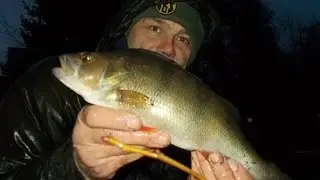Staffs/Worcs Canal perch fishing (March 2015)