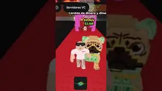 ME SALI&Oacute; MONEY MONEY PUGGY