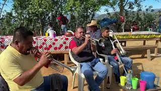 💃🕺Pero que Chulada toca la Banda de Tilapa🎶🎶🔥