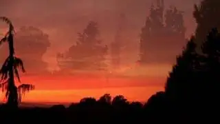 Sunset at the Oregon Garden