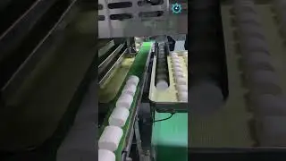 Steamed bun production line