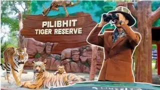 Pilibhit Tiger reserve safari | Chuka beach | Tiger safari | @kaif_84786 | @mr.mohsin.02 