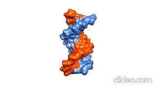 Click Chemistry and Applications