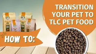 How to Transition Your Pet to TLC Pet Food