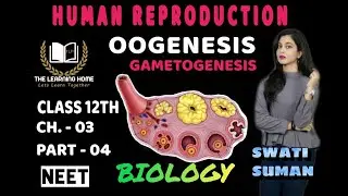 OOGENESIS - HUMAN REPRODUCTION | NEET 2021 | BIOLOGY | CLASS 12 | THE LEARNING HOME | SWATI  SUMAN