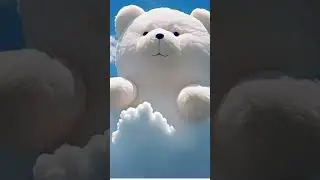 cute teddy bear 🐨🐨#cute #teddy