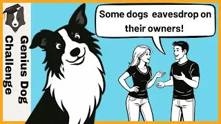 Some dogs eavesdrop on their owners!