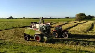 Silage chopper on oat silage - New Zealand