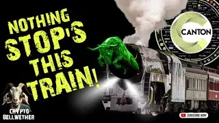 ALTCOINS are CRASHING & CANTON is PUMPING - What make CC a BETTER INVESTMENT?